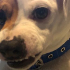 Meet your Posher, Jack